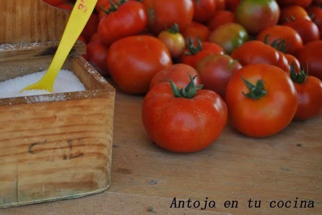 Tomate tomatera huerto