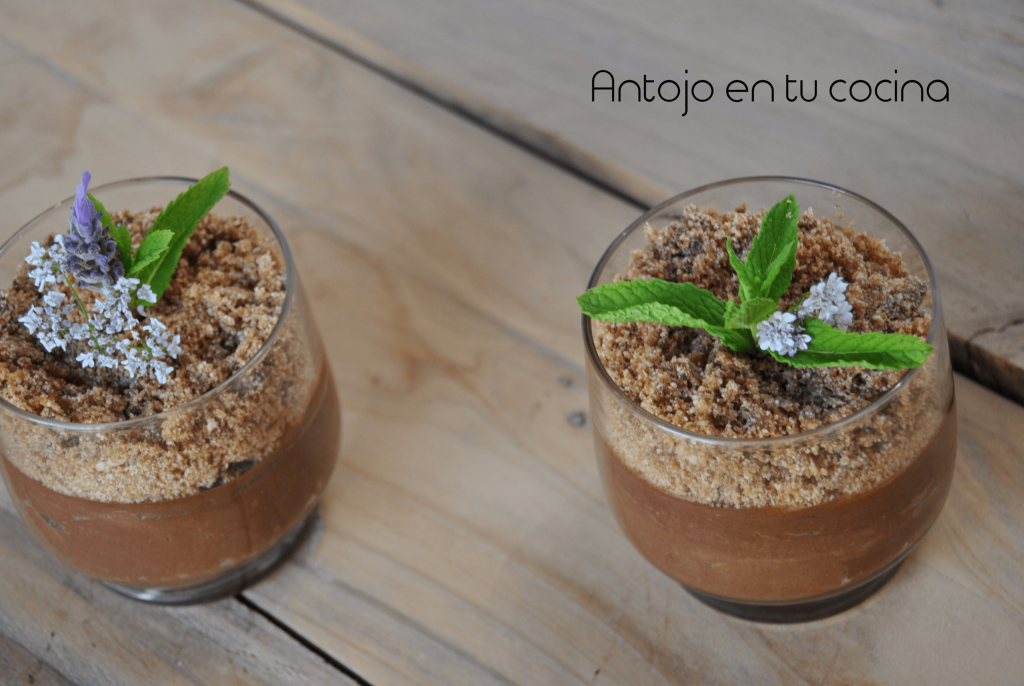 saludable mousse de chocolate y aguacate