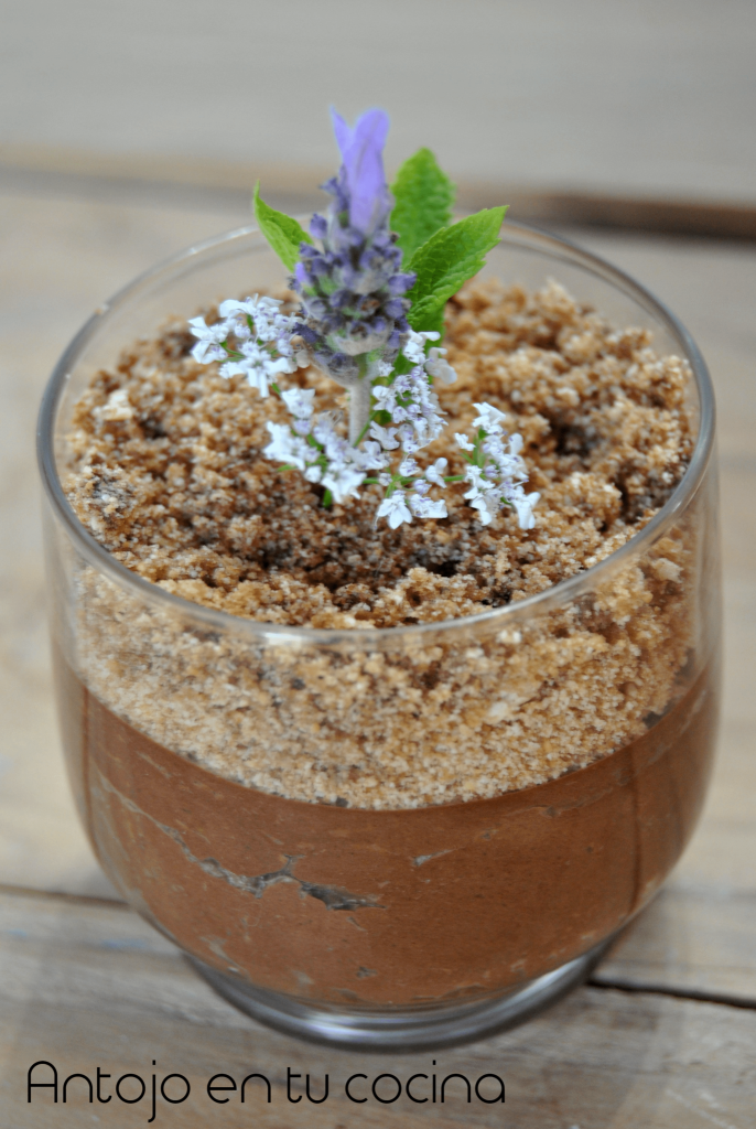 saludable mousse de chocolate y aguacate