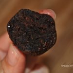 Trufas veganas de chocolate, dátiles y nueces