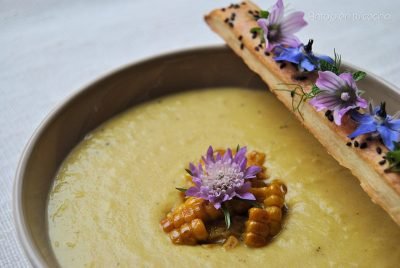 15 sopas y cremas fáciles para calentar el cuerpo y el alma