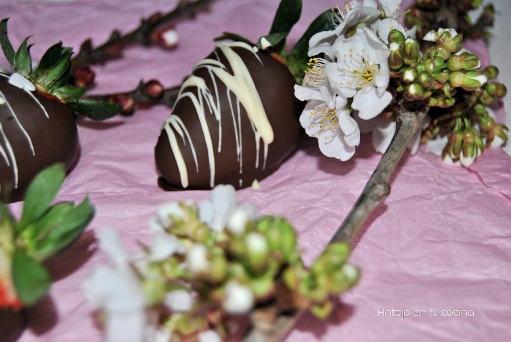 Fresas con chocolate perfectas