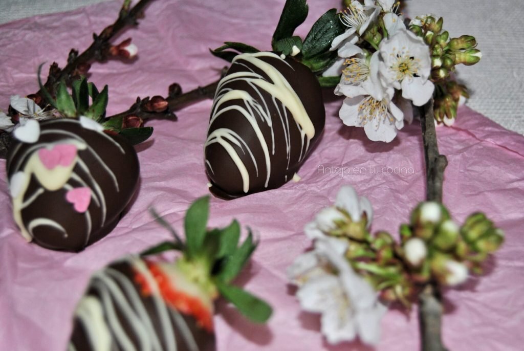 Fresas con chocolate perfectas