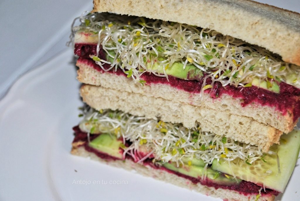 sandwich vegetal