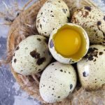 Cómo cocer huevos de codorniz de forma fácil